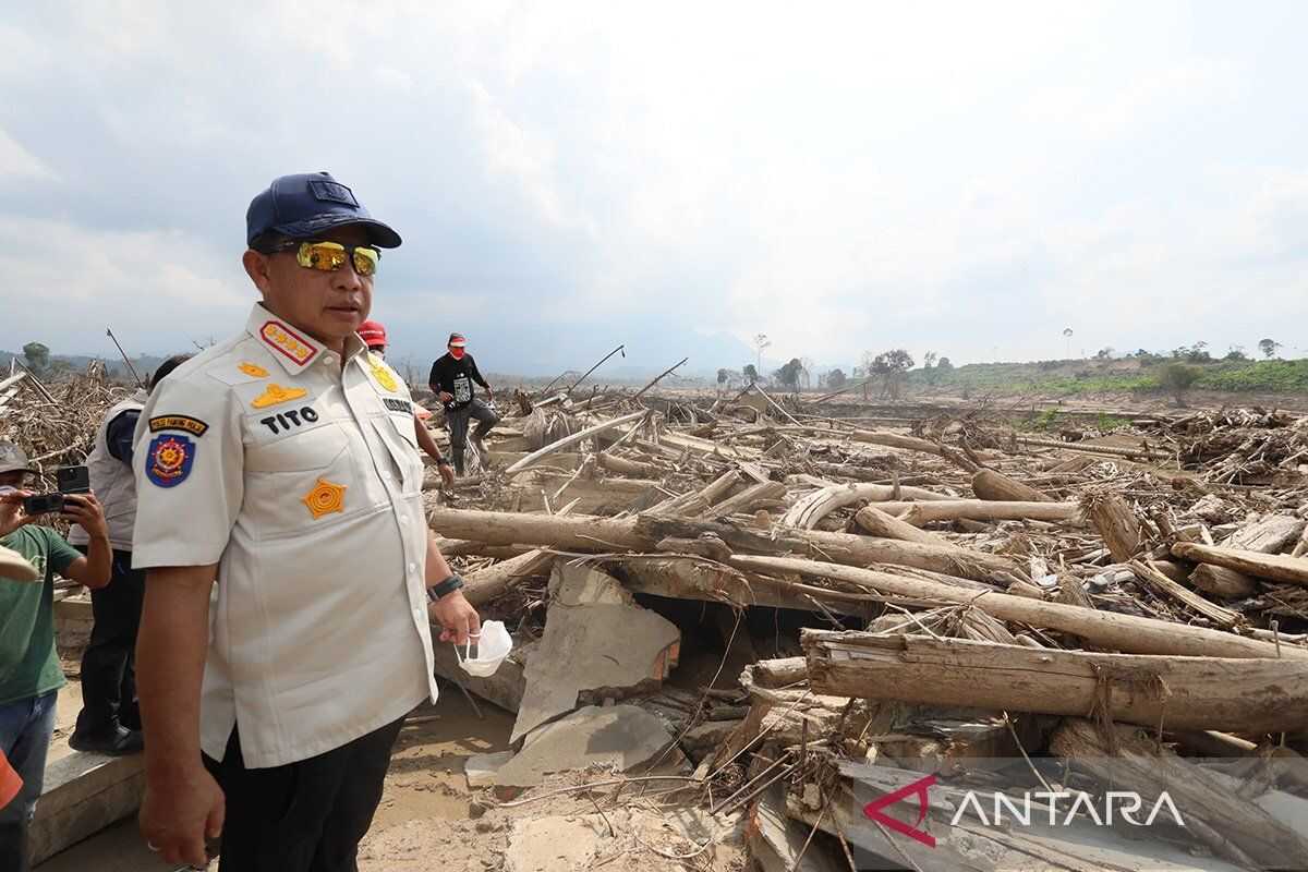 Task Force Accelerates Driftwood Utilisation for Rehabilitation Efforts