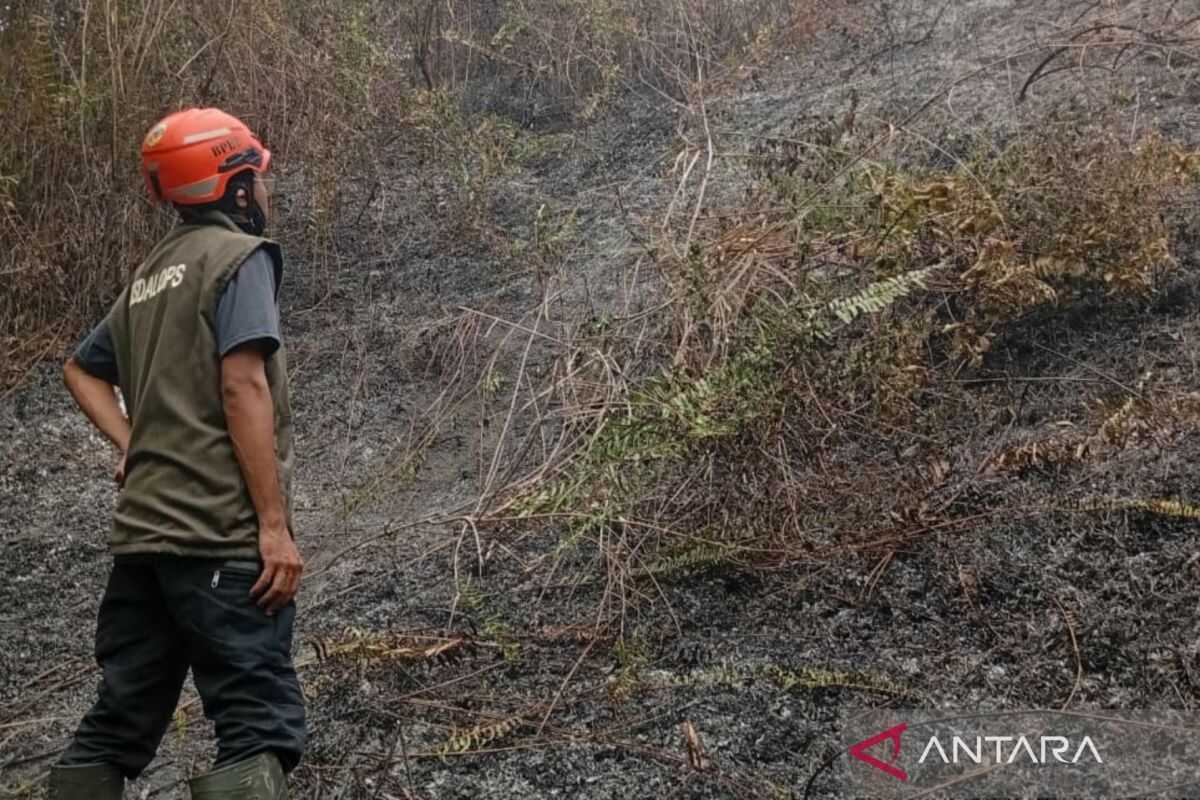 BNPB records two hectares of mineral land destroyed in Parigi Moutong fire