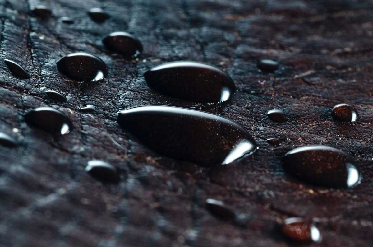 Discovery of 2 Billion-Year-Old Primordial Water in Canada Offers Insight into Ancient Microbial Life