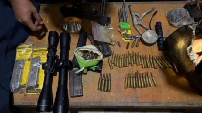 Suspect Arrested for Killing Sumatran Elephant with Severed Head in Pelalawan