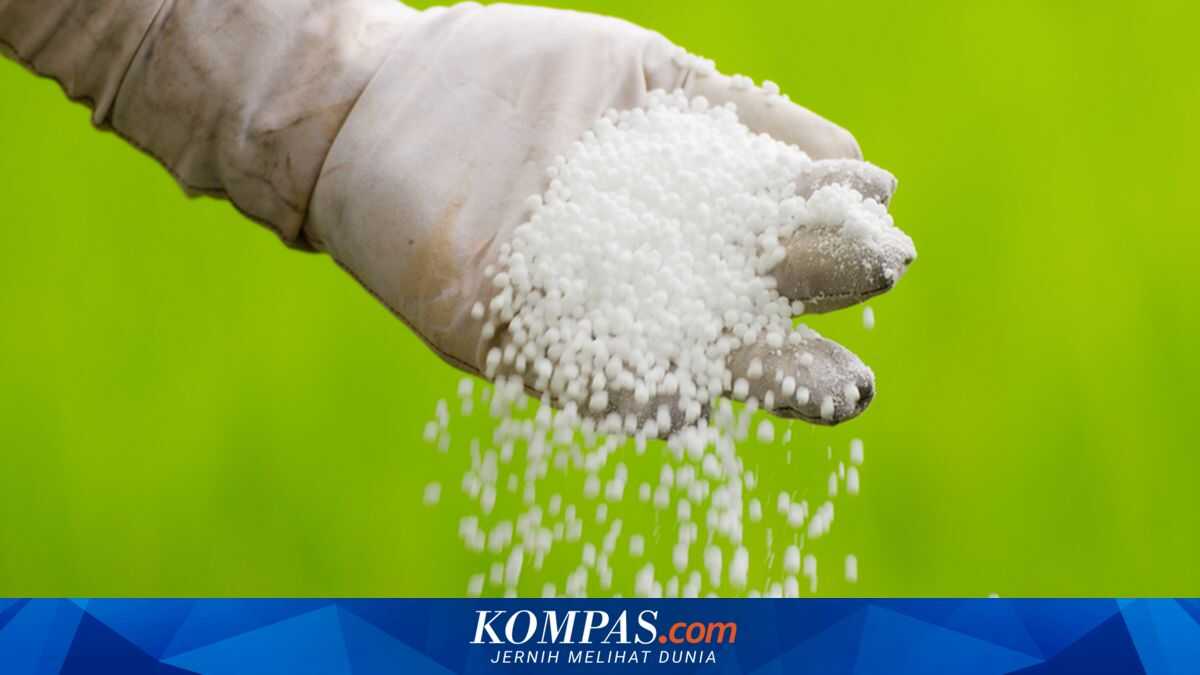 Impact of Strait of Hormuz Closure: Global Fertiliser Supply Could Be Disrupted