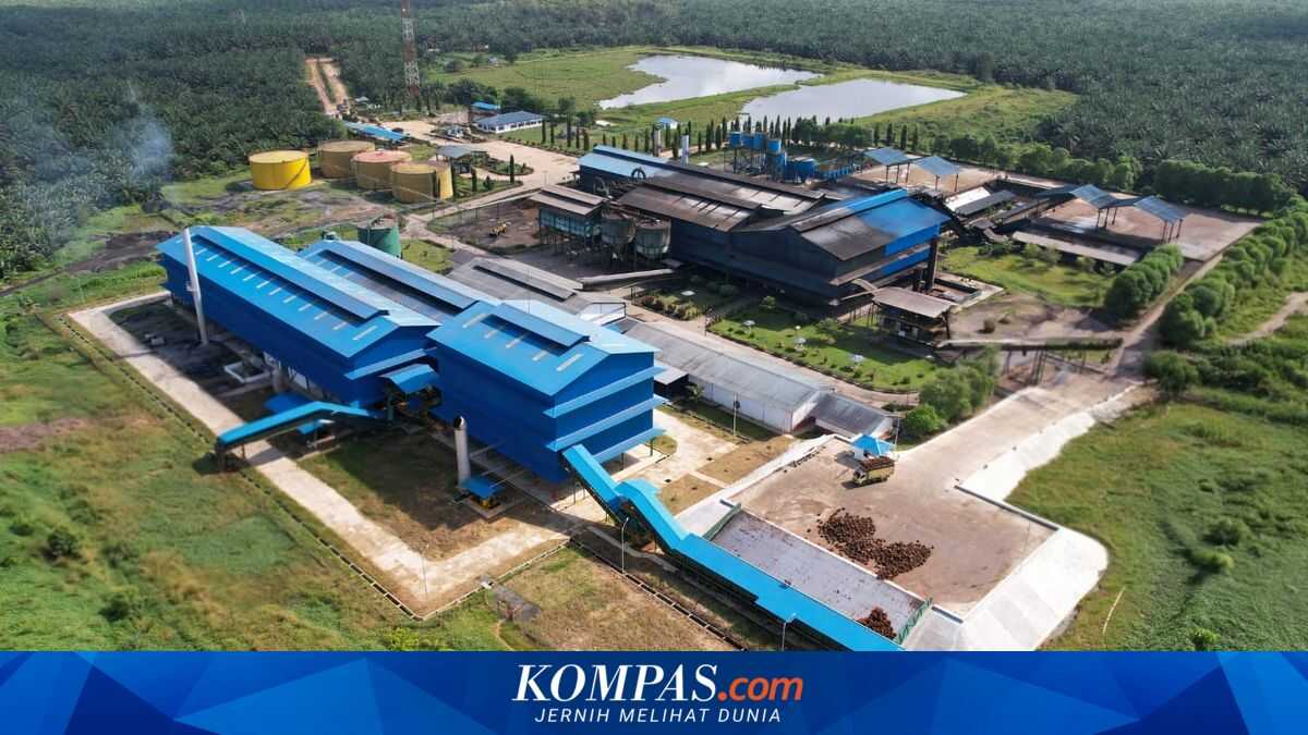 Eagle High Plantations' Net Profit Rises 39 Per Cent to IDR 379 Billion in 2025, Supported by CPO Price Increases