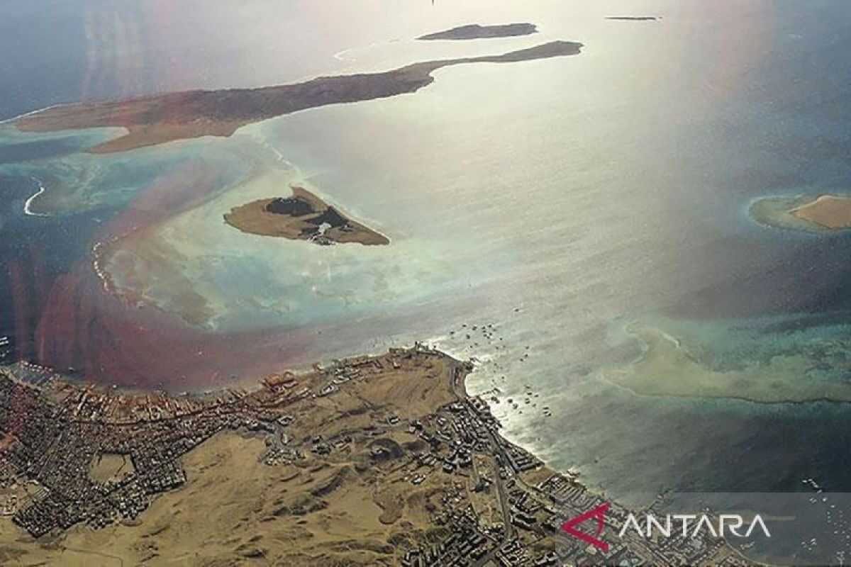 International Maritime Organisation recommends vessels avoid Strait of Hormuz