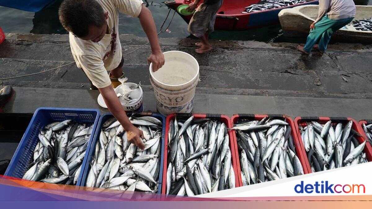 Portrait of Blue Food Security Architecture in Ramadan 2026