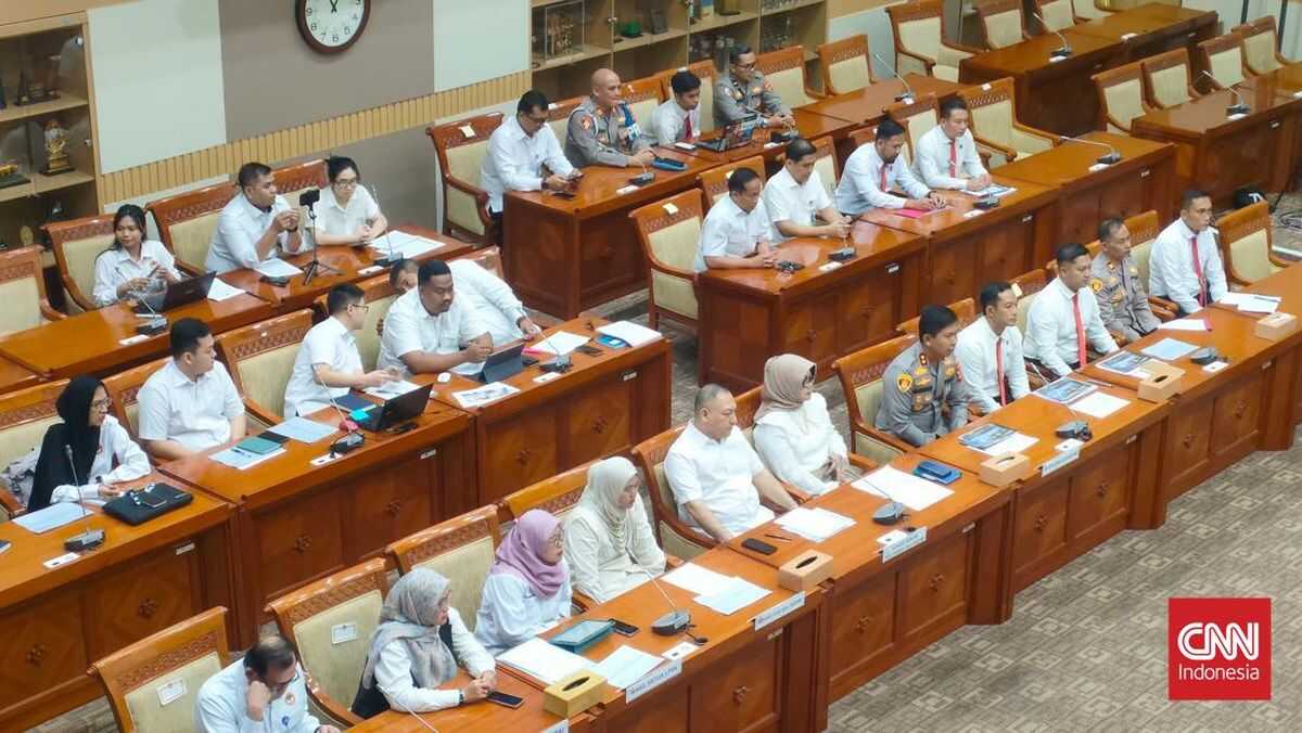 Commission III Holds Hearing on Death of Boy Allegedly Beaten by Stepmother