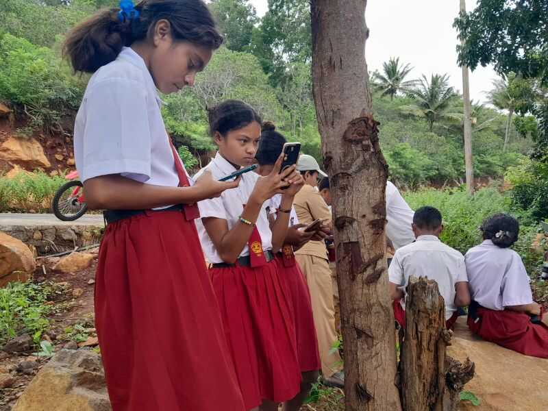 Seeking Signal in Remote Atadei for Academic Ability Test