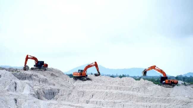 CPO and Nickel Lead Strong Early-Year Export Performance, Indonesia's Exports Surge to US$22.1 Billion