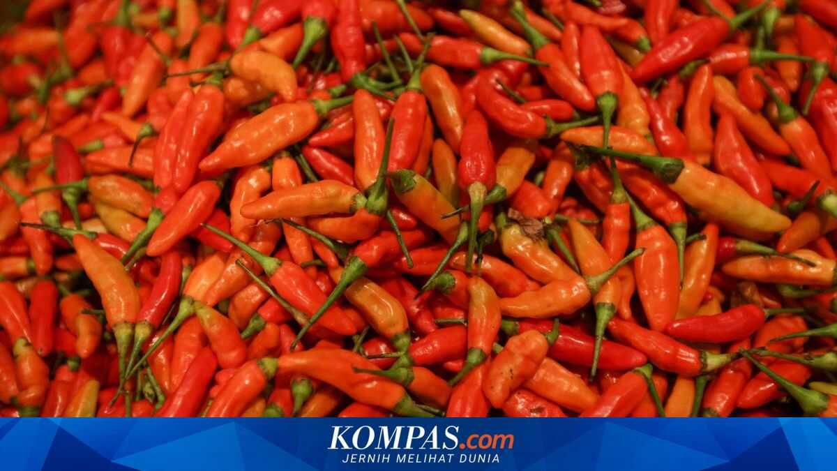 Government Delivers Enrekang Chilli to NTB to Drive Down Prices