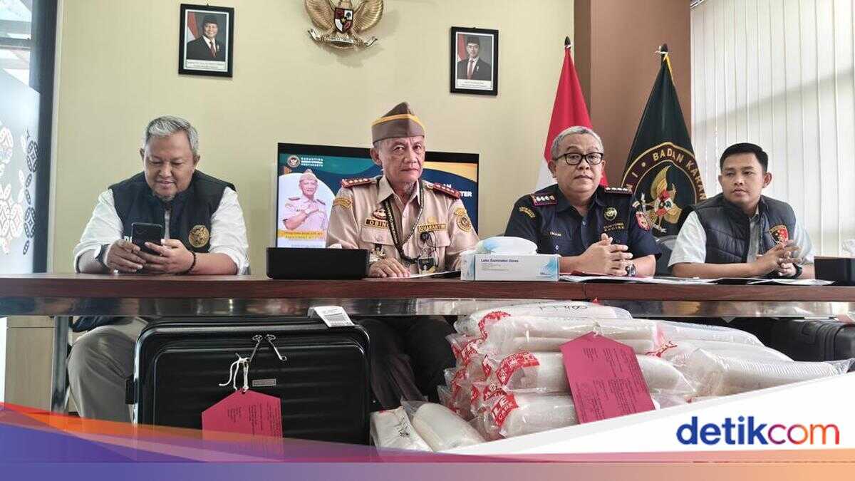 Smuggling of 54,000 Lobster Larvae Worth Rp 1 Billion to Singapore via YIA Thwarted