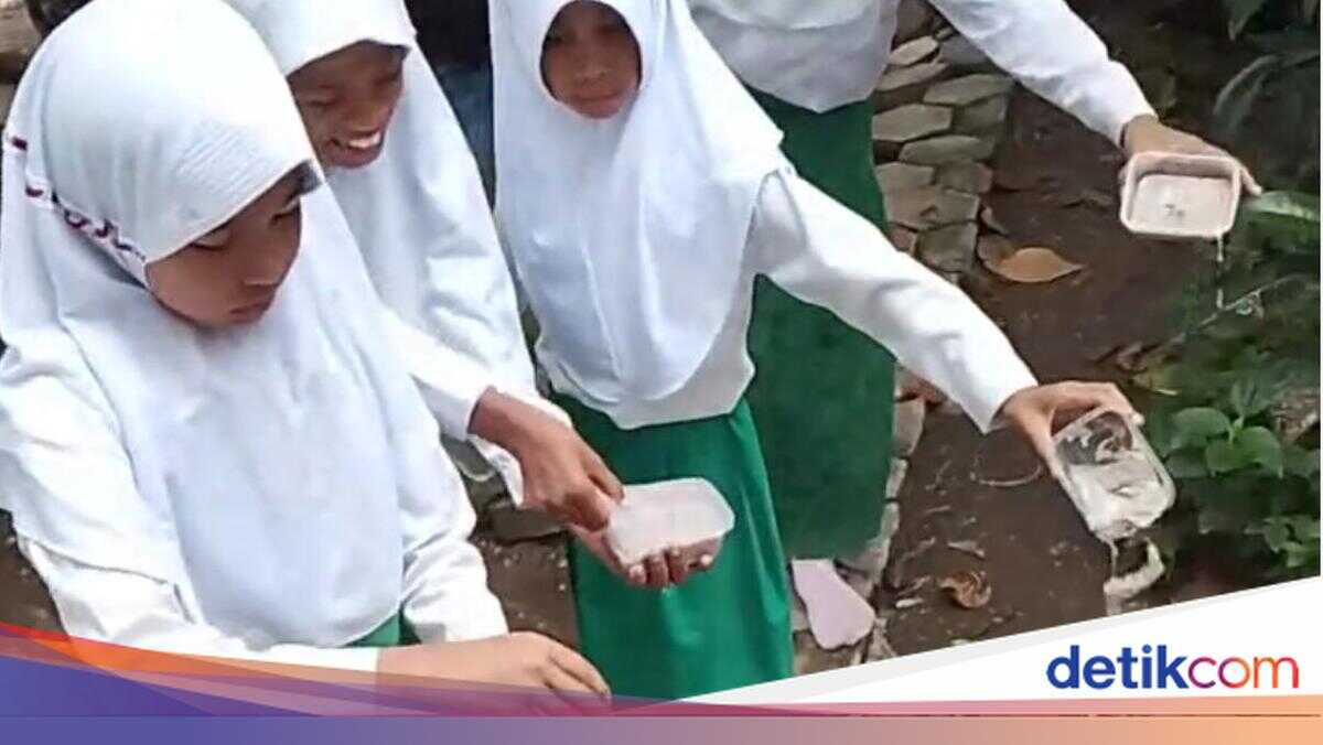 Viral Video of Students Discarding Free Nutritional Meals in Bima; Nutritional Services Unit Provides Explanation