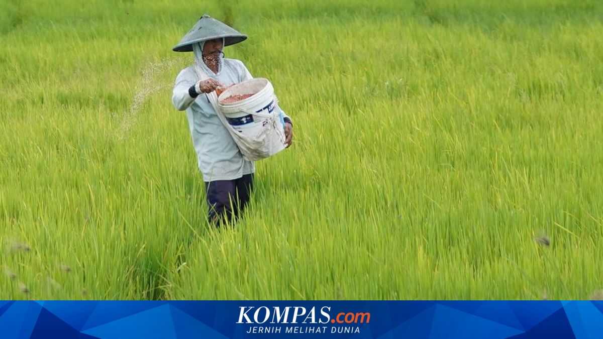 BPS: Farmers' Exchange Rate Rises, Income Increases
