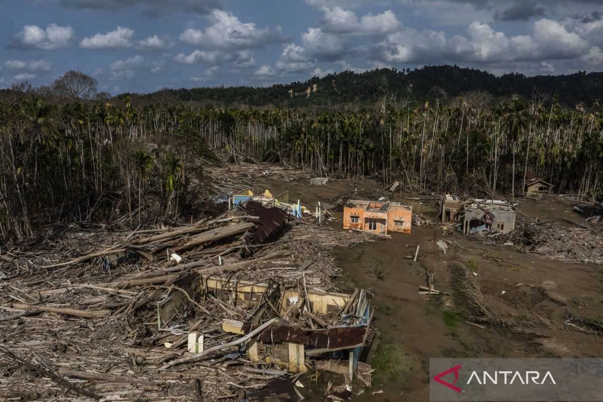 The road home of the illegal logger