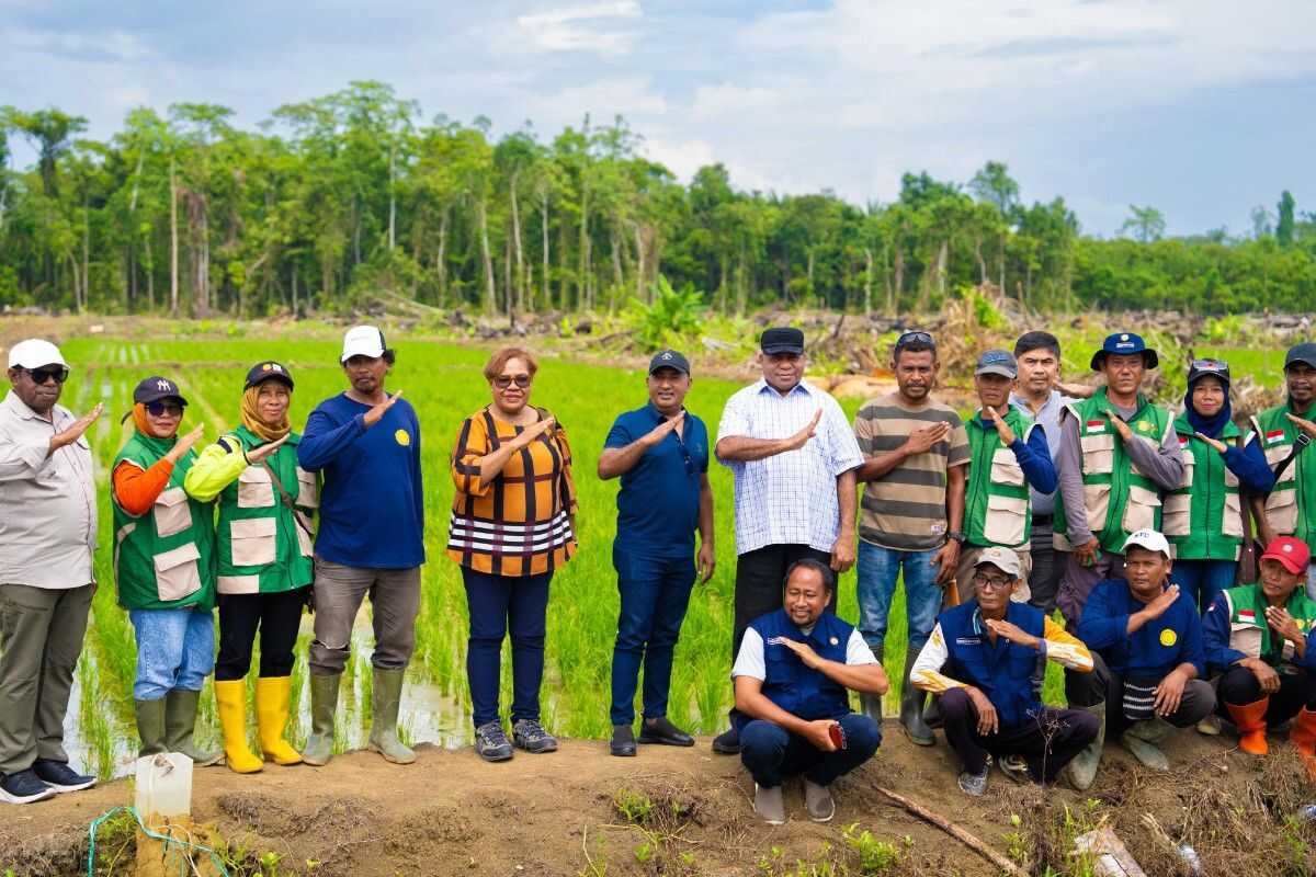 Papua Province strengthens food sovereignty through agricultural land development programme