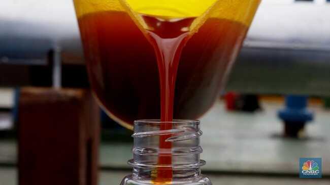 Americans Beginning to Embrace Indonesian Palm Oil, China and India Already Addicted