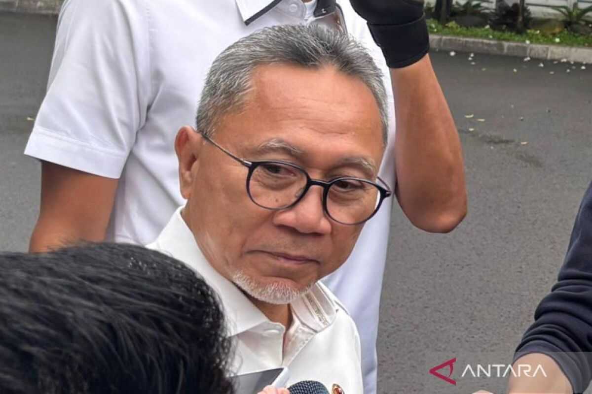 Zulhas: Import of 1,000 tonnes of rice from the US comprises only specialty types