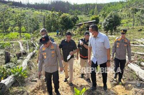 Death of Young Elephant at Tesso Nilo: Riau Police Criminal Directorate Establishes Land Owner as Suspect