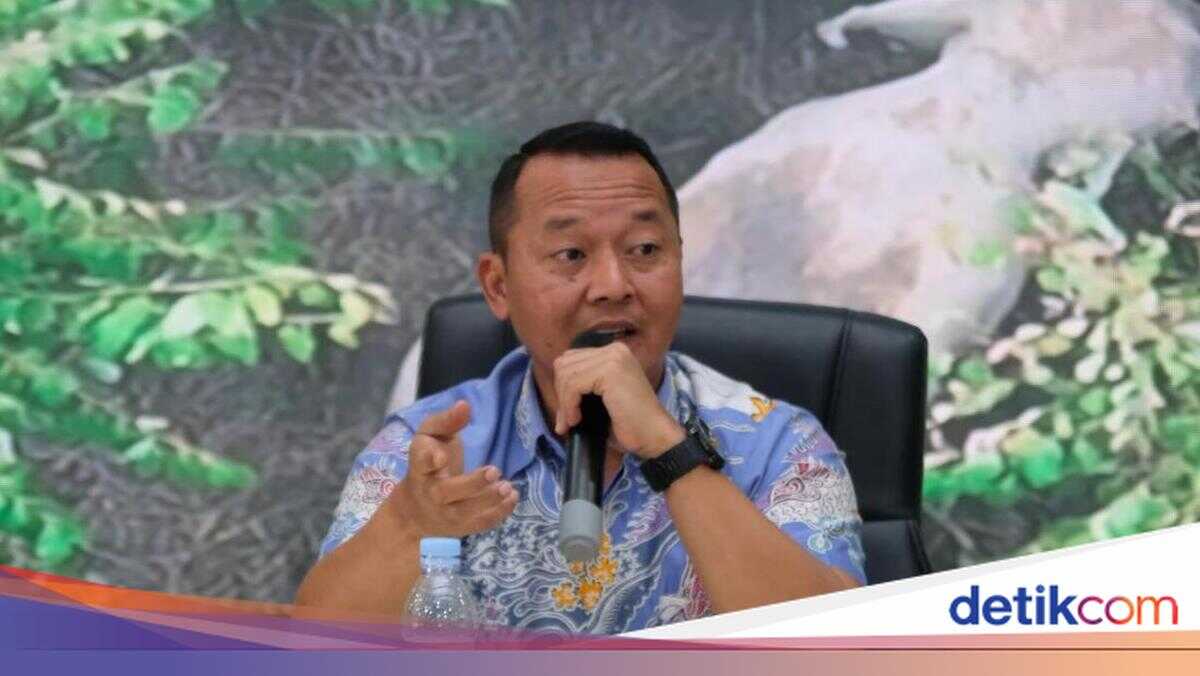 Forest Encroachment Uncovered at Tesso Nilo National Park Following Death of Young Elephant