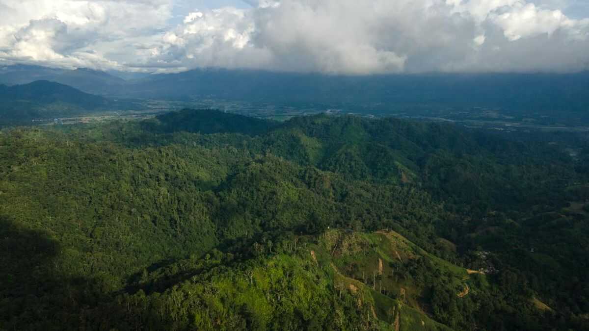 Building Synergy to Realise Sustainable and Prosperous Districts