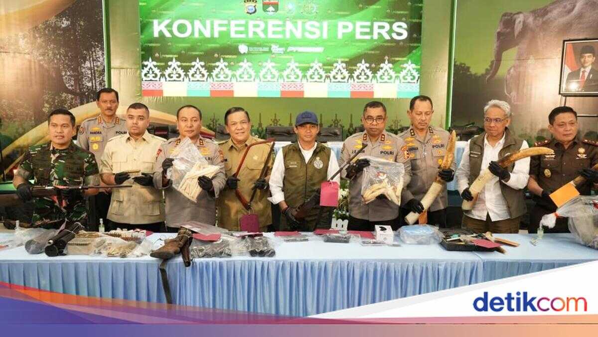 Five Facts in the Headless Sumatran Elephant Case Uncovered by Riau Police