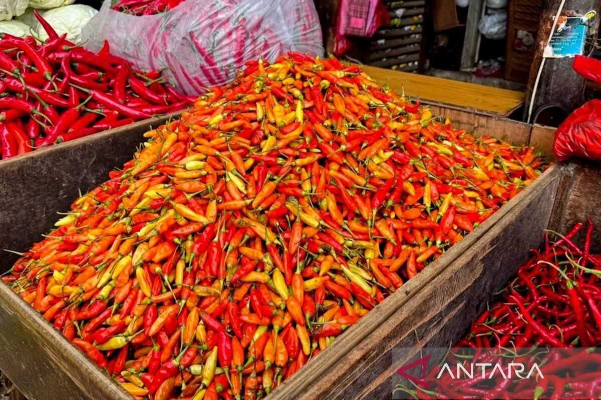 Wednesday morning: Bird's-eye chillies Rp74,750 per kg, red onions Rp44,050 per kg