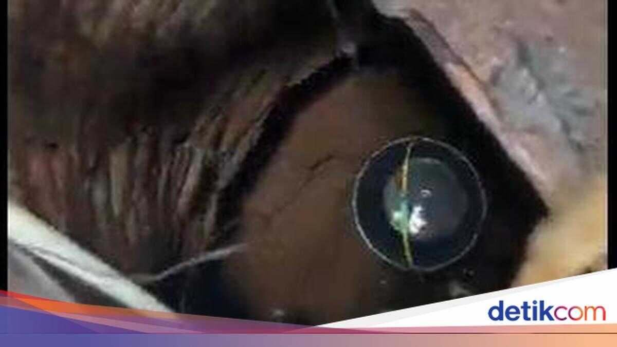 Kadujajar Village Lacks Clean Water for Bathing and Drinking — Let Us Help