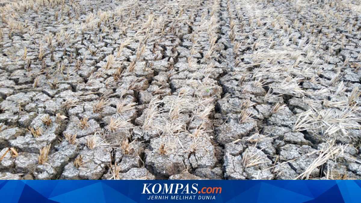 BMKG Predicts 2026 Dry Season to Arrive Earlier, Beginning in April