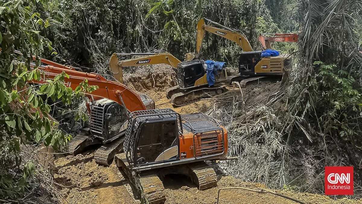 North Sumatra Police Uncover Illegal Gold Mining in Mandailing Natal Forest