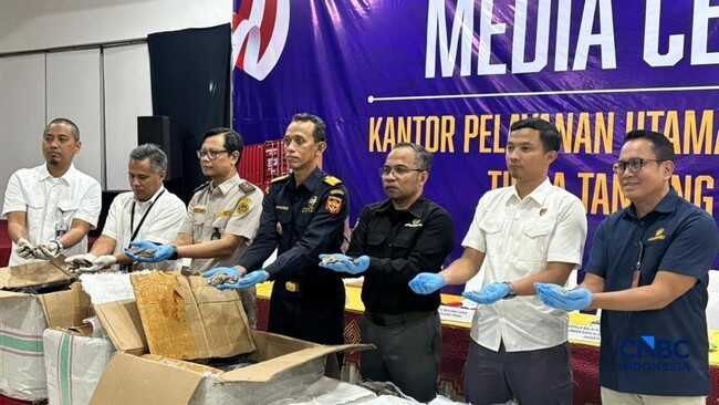 Customs Thwart Pangolin Scale Export Worth Rp183 Billion