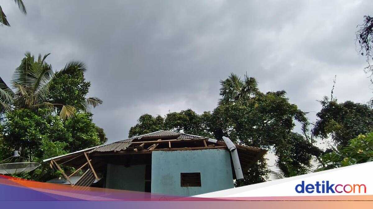 Heavy rain and gale-force winds strike Buleleng; trees topple across the area