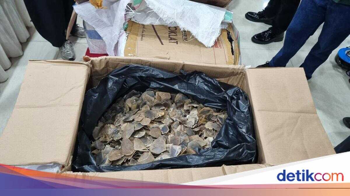 Smuggling suspect disguises 3 tonnes of pangolin scales in instant noodles and sea cucumbers