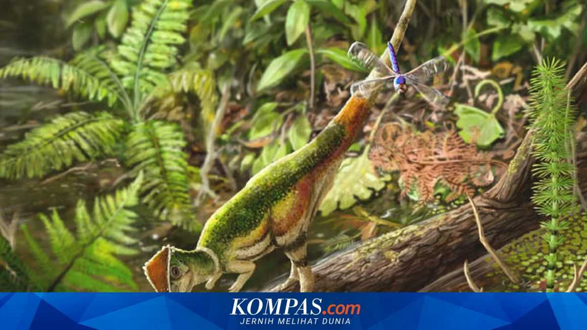 Rare Dome-Headed Baby Dinosaur Fossil Found in Canada