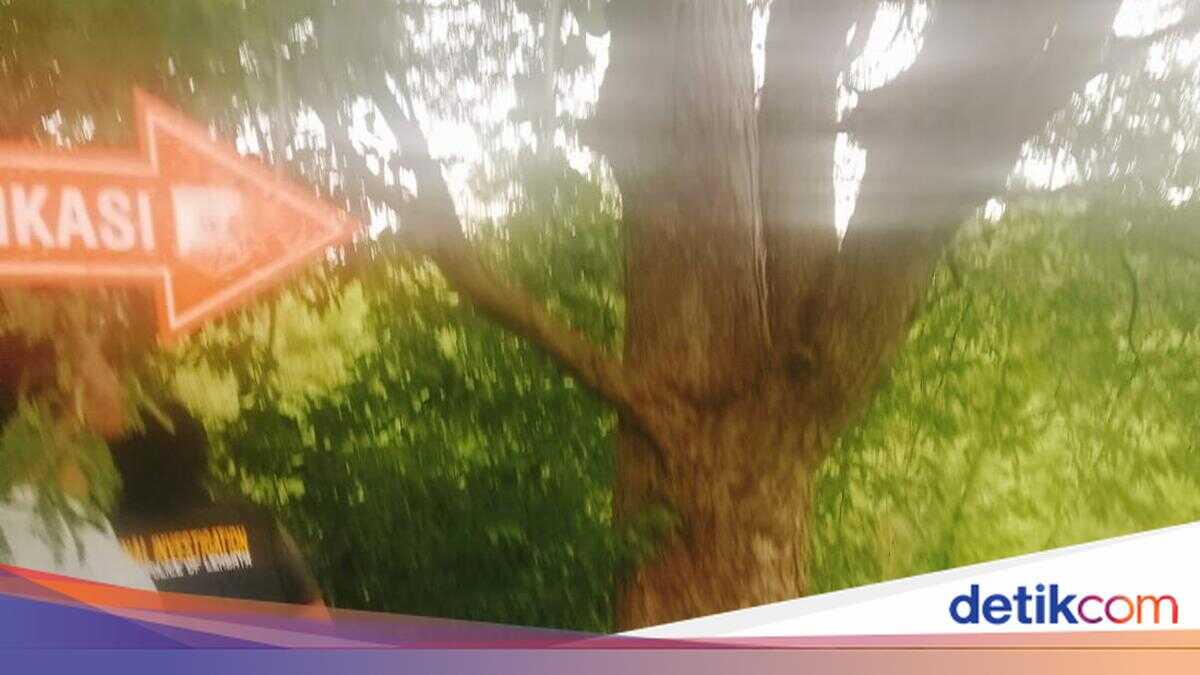 High school student in Lembata found dead by hanging after leaving his boarding house