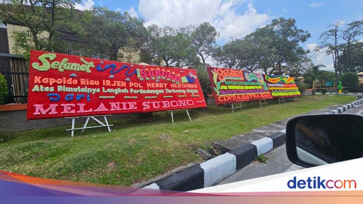 Riau Police Flooded with Floral Tributes After Uncovering Headless Sumatran Elephant Case