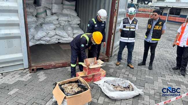 Pangolin Scale Smuggling Method Masked by Instant Noodles