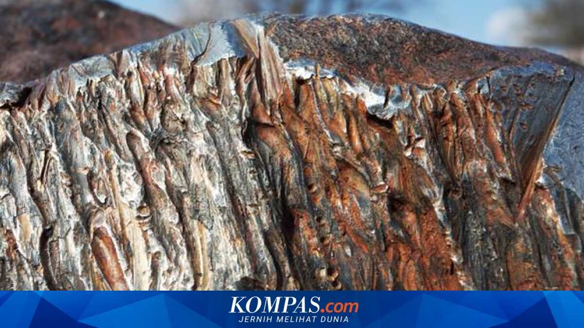 Global Markets Pressure Indonesia's Nickel Industry to Adopt ESG Standards