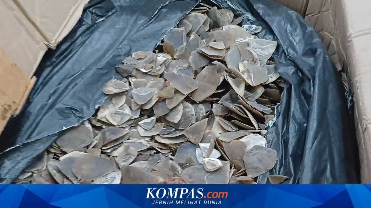 Three tonnes of pangolin scales thwarted from being smuggled to Cambodia