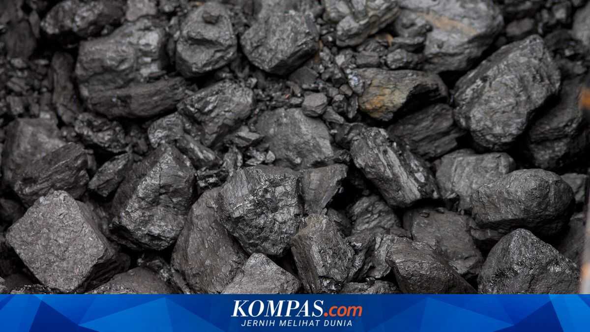 PLN Secures 84 Million Tonnes of Coal Supply, Denies Threat of Power Outages
