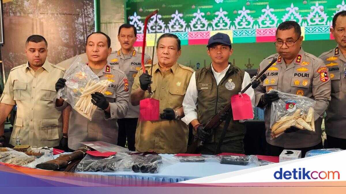 Legislator Praises Riau Police for Busting Sumatra Elephant Poaching Syndicate