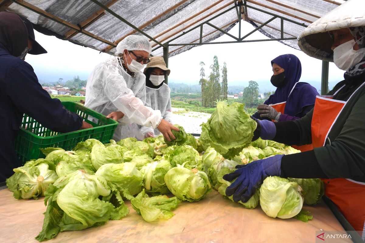 Study finds fast-food restaurants contribute to local community employment