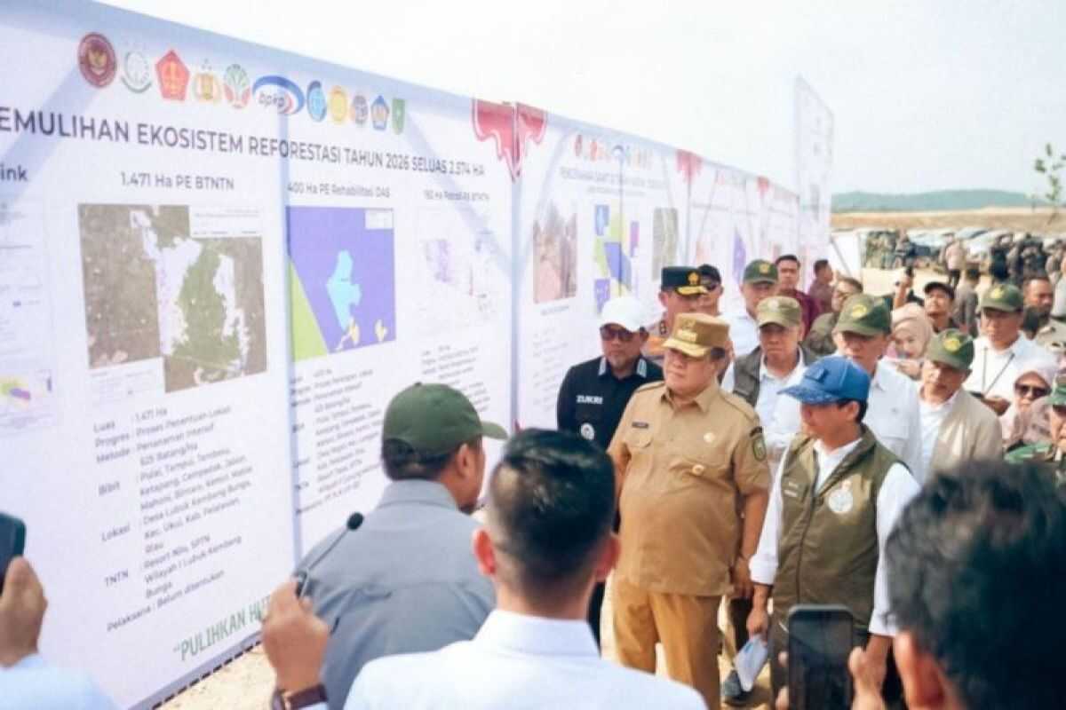 Riau targets reforestation of 66,704 hectares of land in Tesso Nilo National Park