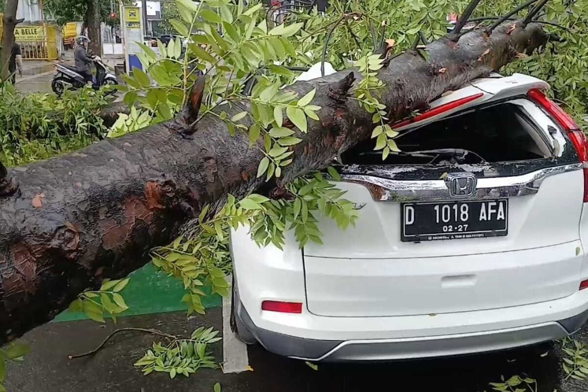 Dozens of trees topple in Bandung as heavy rain and strong winds lash the city, crushing cars and damaging buildings