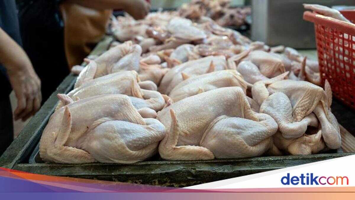 Agriculture Minister Reveals Masterminds Behind Rise in Chicken and Egg Prices