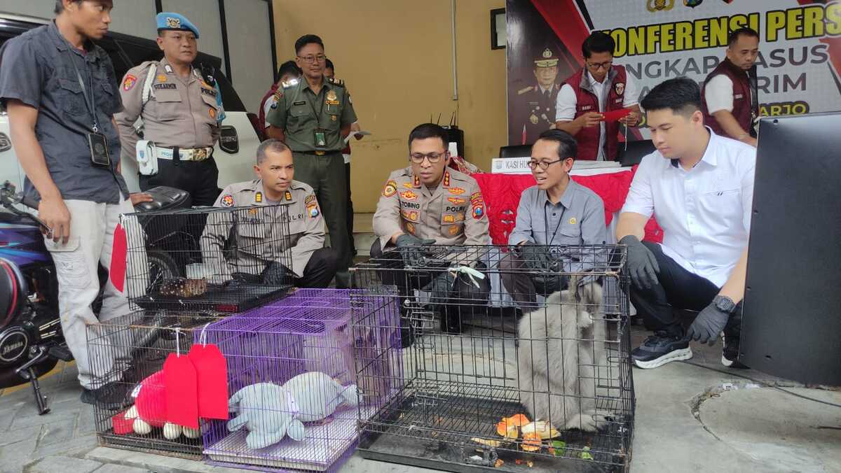 Police Uncover Illegal Protected Wildlife Trafficking Network Spanning International Black Markets