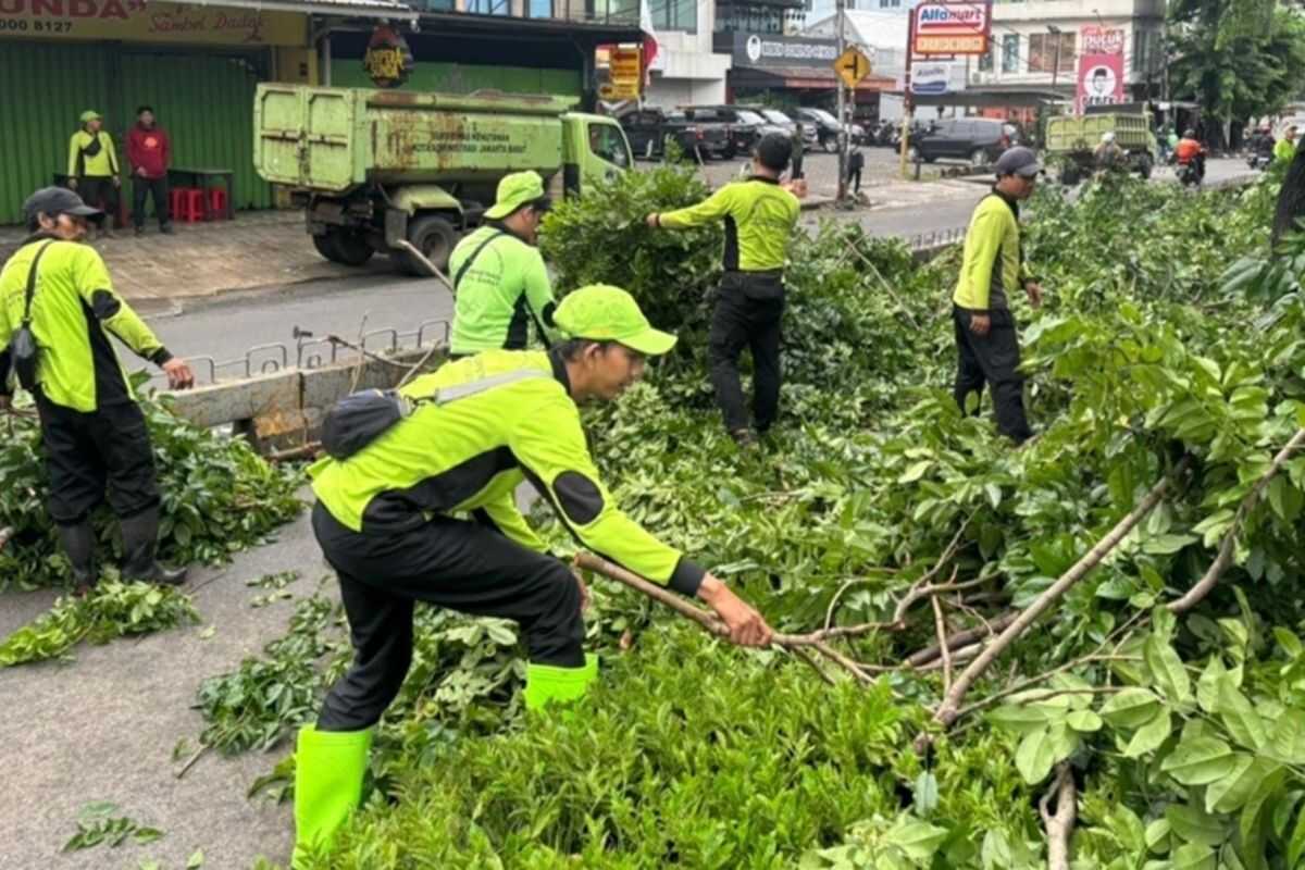 Tamhut West Jakarta Tackles 460 Problematic Trees in February 2026