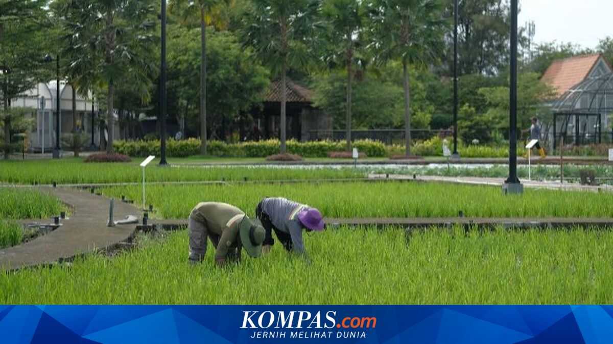 Deradicalisation of Former Terrorist Inmates: Once Brandishing Weapons, Now Wielding Hoes