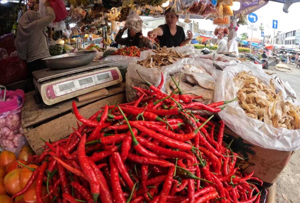 Red Bird's-Eye Chillies Prices Rebound in Yogyakarta After Dip