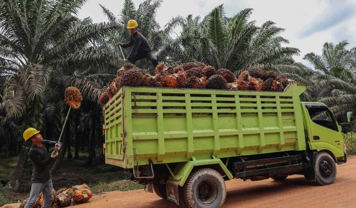 Gapki: Closure of the Strait of Hormuz Could Raise Palm Oil Logistics Costs