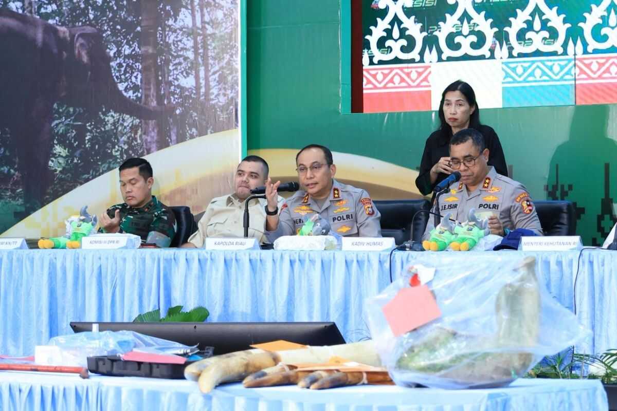 End of the Sumatra elephant-poaching syndicate saga in Riau