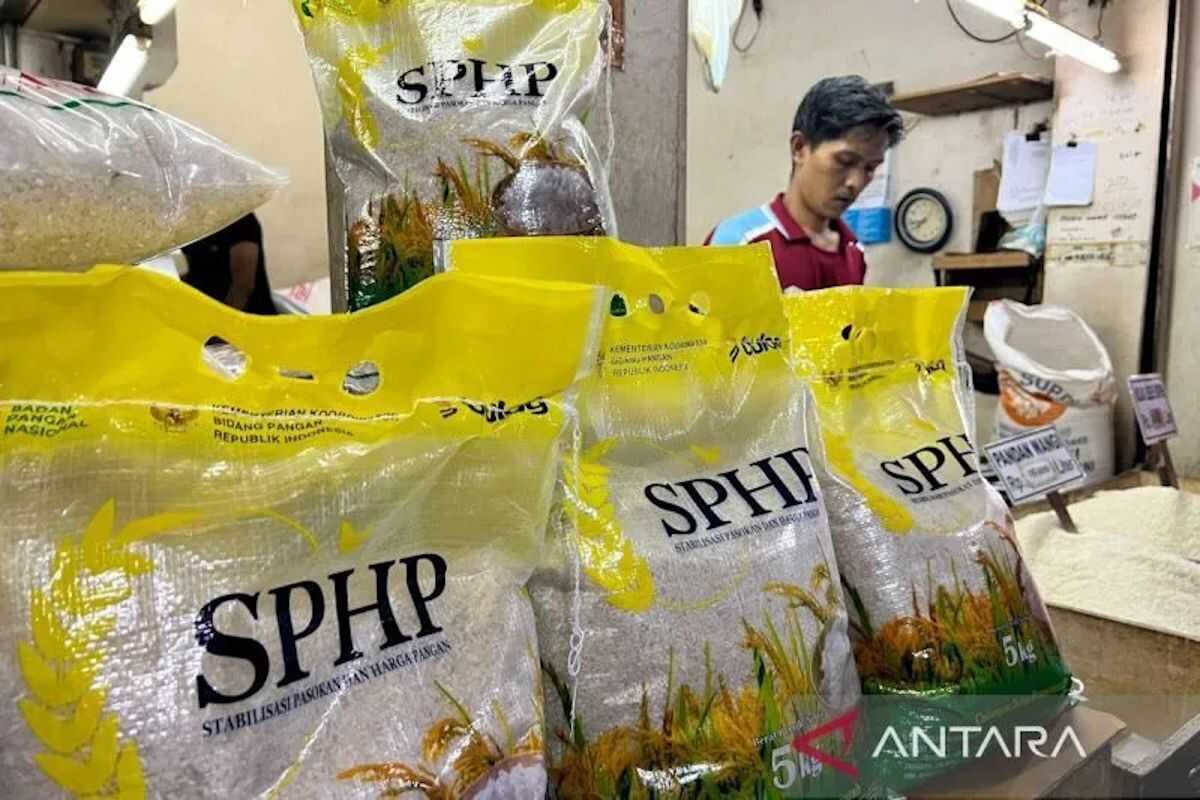 Government to begin SPHP rice distribution in 2026 from March to year-end