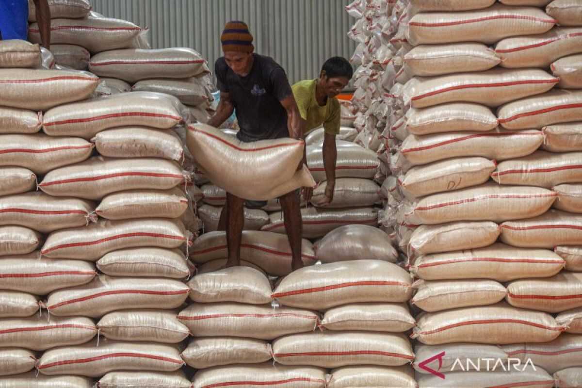 Indonesia launches first rice exports for Hajj Pilgrims - ANTARA News